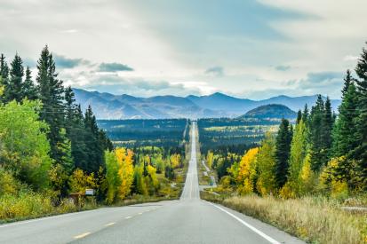 A tree lined road in Alaska