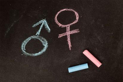 Gender theory cannot define what a man or a woman is