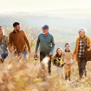 A family with children, parents, and grandparents is seen walking up a hill for a picnic