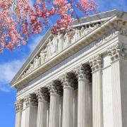 The United States Supreme Court Building is seen behind a cherry blossom tree on a sunny day