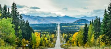 A tree lined road in Alaska