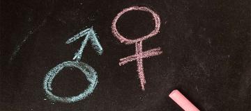 Gender theory cannot define what a man or a woman is