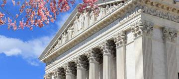 The United States Supreme Court Building is seen behind a cherry blossom tree on a sunny day