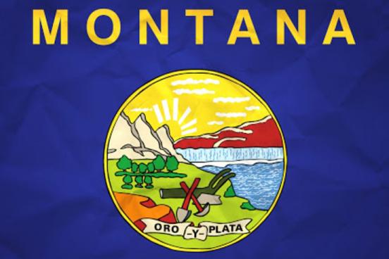 montana flag