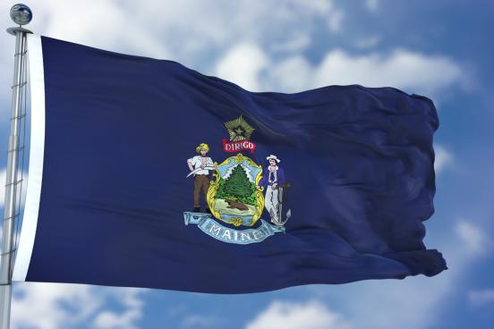 Maine State Flag