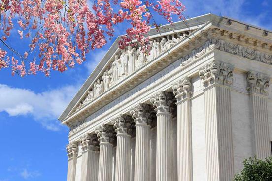 The United States Supreme Court Building is seen behind a cherry blossom tree on a sunny day