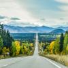 A tree lined road in Alaska